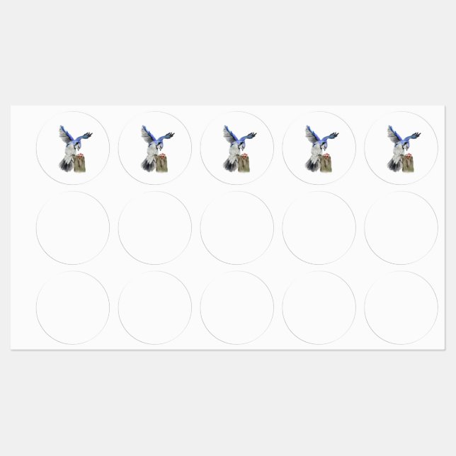 Étiquettes Jay bleu d'oiseau de la forêt (Feuille)