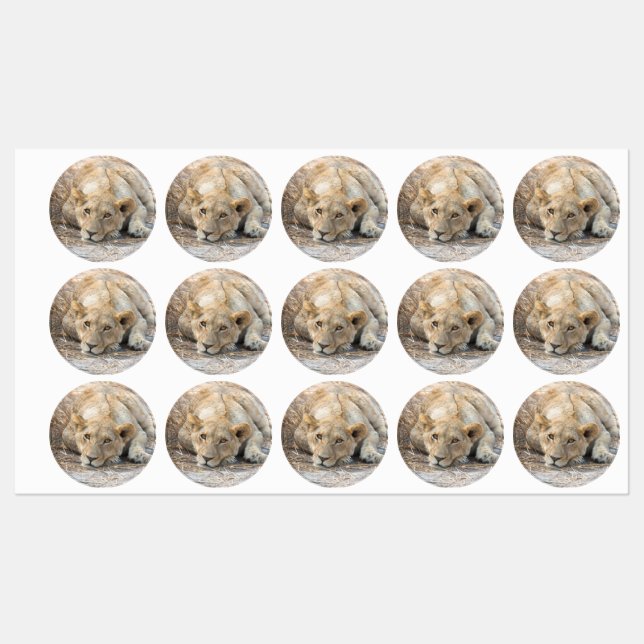 Étiquettes Jeunes lions (Feuille)