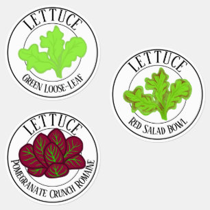 Étiquettes Laitue feuille de chêne verte, Romaine et Salad Bo
