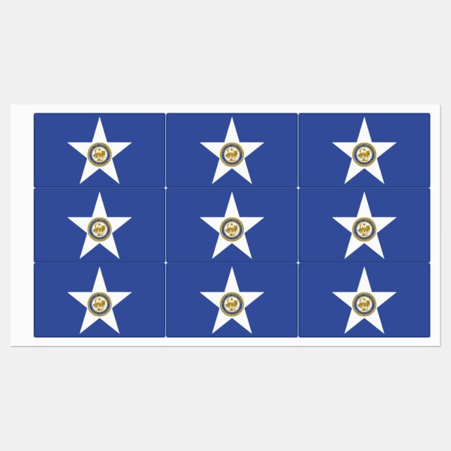 Étiquettes patriotiques avec drapeau de Houston Ci (Feuille)
