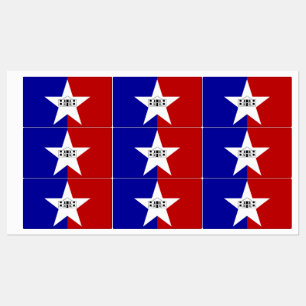 Étiquettes patriotiques avec drapeau de la ville d