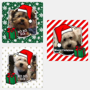 Étiquettes Personnalisé Trois Photo Animaux de Noël Santa Hat