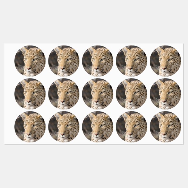 Étiquettes Portrait de Léopard (Feuille)