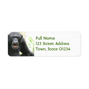 Étiquettes postales bavardes de chimpanzé