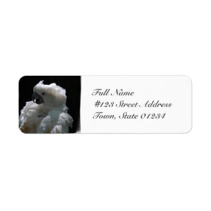 Étiquettes postales blanches d'oiseau de cacatoès