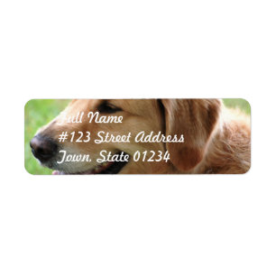Étiquettes postales de chiot de golden retriever