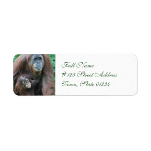Étiquettes postales de famille d'orang-outan