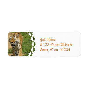 Étiquettes postales de vagabondage de tigre