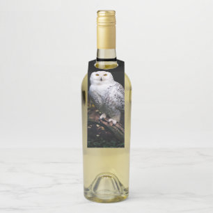 Étiquettes Pour Bouteilles Chouette hivernale majestueuse