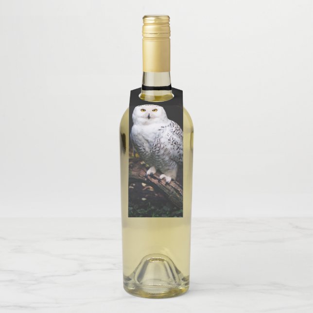 Étiquettes Pour Bouteilles Chouette hivernale majestueuse (Sur bouteille)