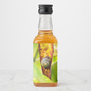 Étiquettes Pour Bouteilles De Liqueur fixation calme