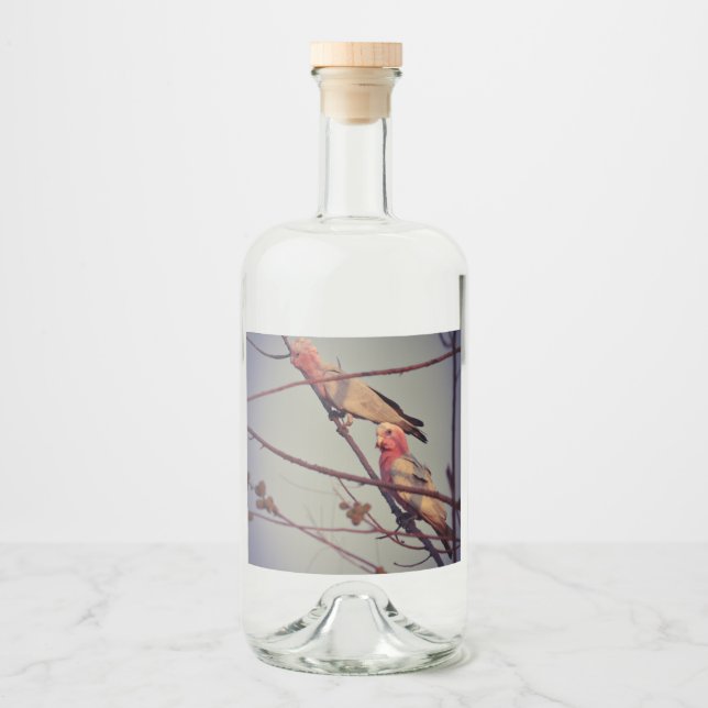 Étiquettes Pour Bouteilles De Liqueur Oiseaux de Galah dans l'arbre2 (Devant)