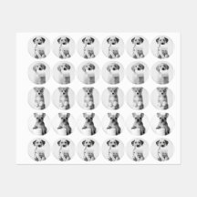 Quatre chiots adorables esthétiques avec du papier