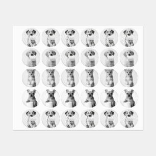 Étiquettes Quatre chiots adorables esthétiques avec du papier