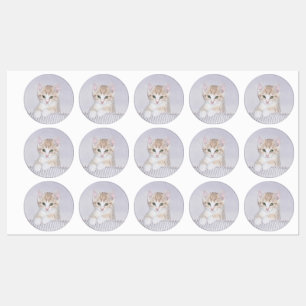 Étiquettes Tabby Jaune Kitten Peinture - Art Chat Original
