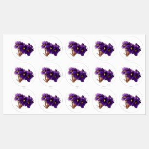 Étiquettes Violet africain