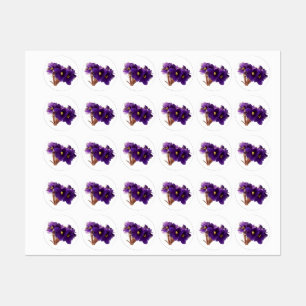 Étiquettes Violet africain