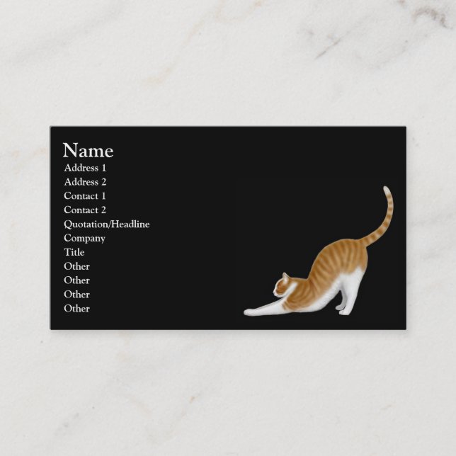 Étirage du carte de visite orange de chat tigré (Devant)