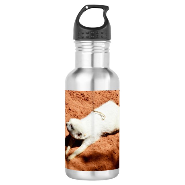 Étirement blanc Meerkat, Bouteille d'eau (Devant)