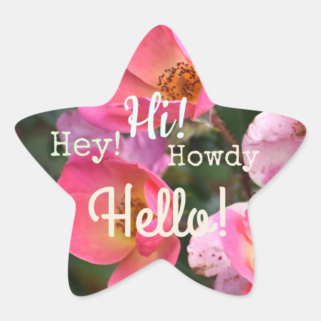 Étoile Bonjour ! Salut ! Bonjour ! Sticker Flower Star (Devant)