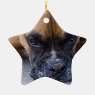 Étoile En Céramique Ornement de repos de chien de boxeur