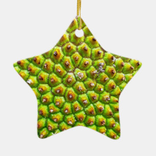 Étoile En Céramique Ornement d'étoile à deux côtés de Jackfruit