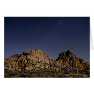 Etoiles dans le ciel sur le désert 5