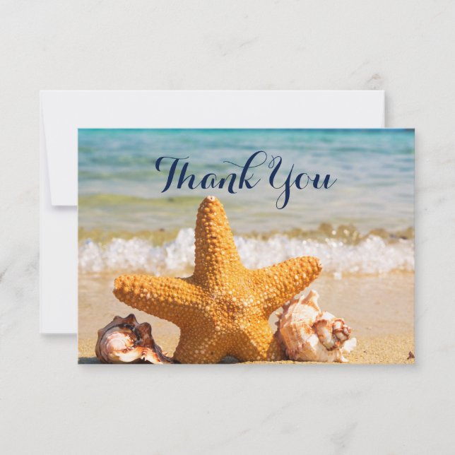 Étoiles de mer et coquillages sur la plage Merci (Devant)