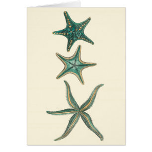 Étoiles de mer triples bleu vert