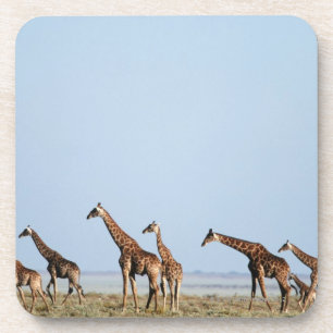 Etosha Nationalpark, Namibia 2 Untersetzer