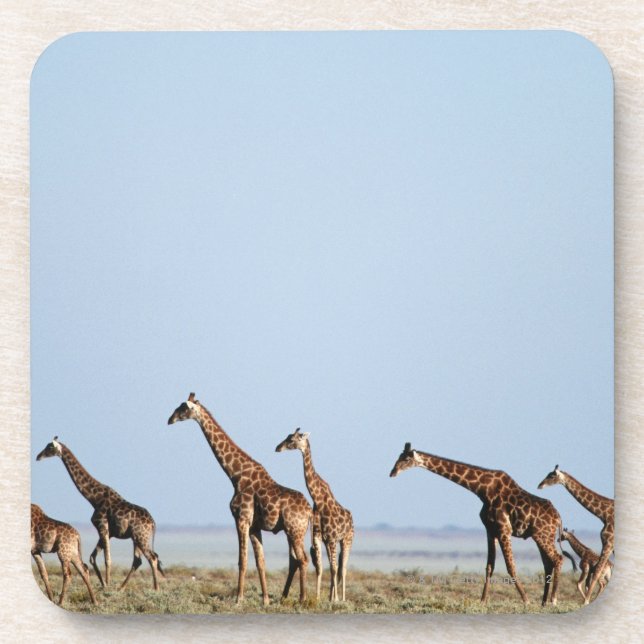 Etosha Nationalpark, Namibia 2 Untersetzer (Vorderseite)
