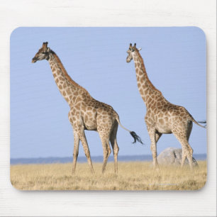Etosha Nationalpark, Namibia 3 Mousepad