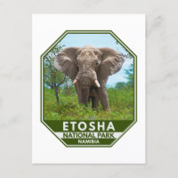Etosha Nationalpark Namibia Elephant Watercolor