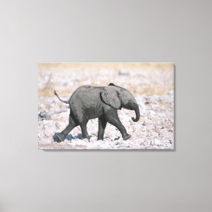 Etosha Nationalpark, Namibia Leinwanddruck