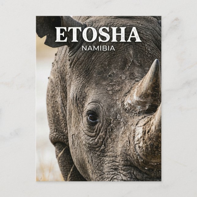 Etosha-Nationalpark Namibia Postkarte (Vorderseite)