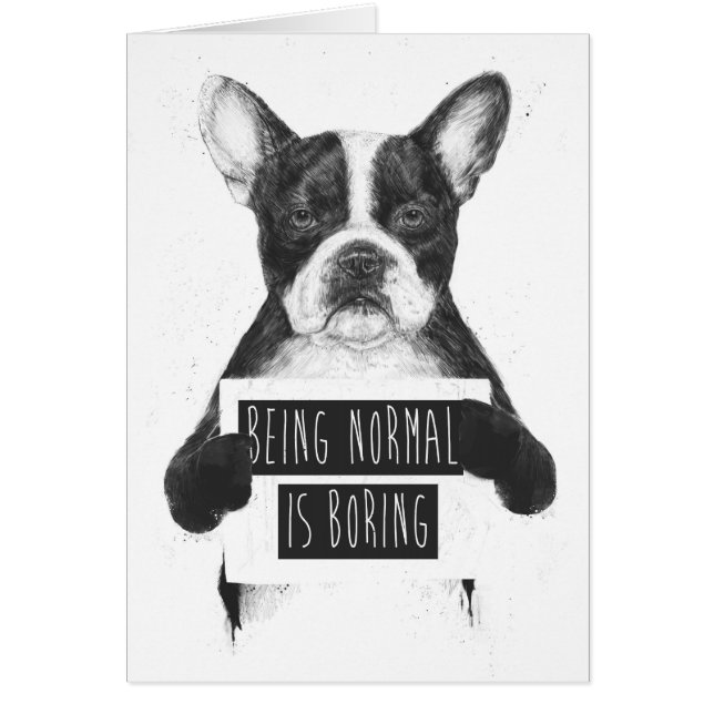 Être normal ennuie (Devant)