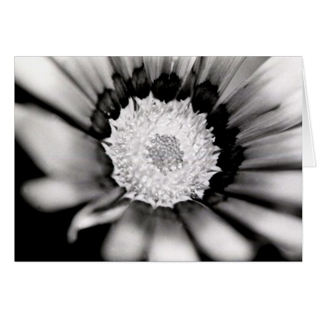 Étude de fleur (Devant horizontal)