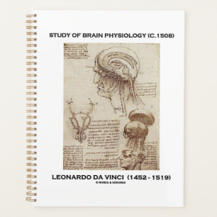 Étude de la physiologie du cerveau (c. 1508) da V