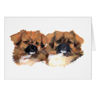 Étude de la tête des Espagnols tibétains