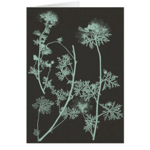 Étude sur la nature de la menthe et du charbon de 