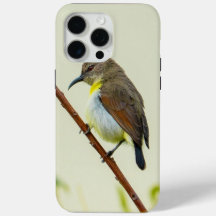 Étui de téléphone Nature Oiseau
