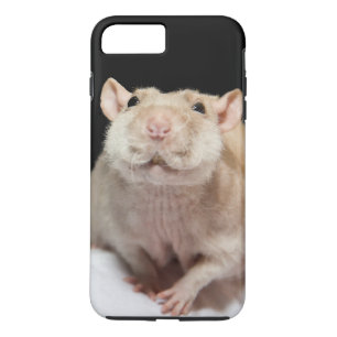 Étui de téléphone Rat