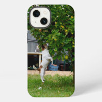 Fox Terrier The Leap, iPhone 13 Coque