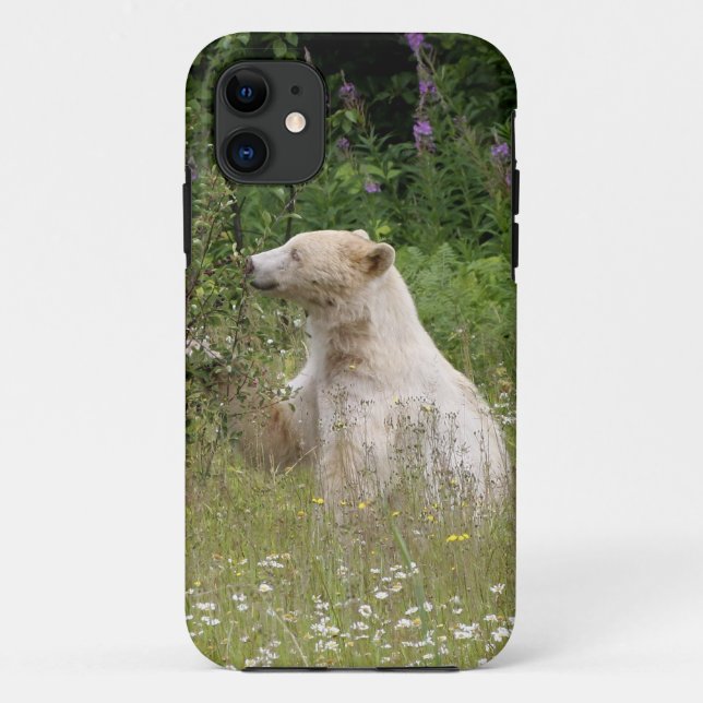 Étui iPhone faune Kermode Spirit Bear (Dos)
