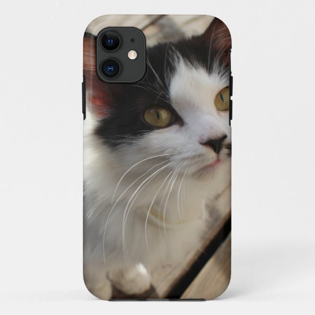 Étui iphone pour chaton (Dos)