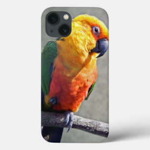 Étui pour iPad Conure Jenday