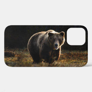 Étui pour iPhone 12 ours