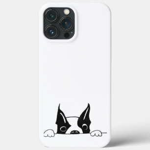 Étui pour iPhone 13 Pro Max SG - 226