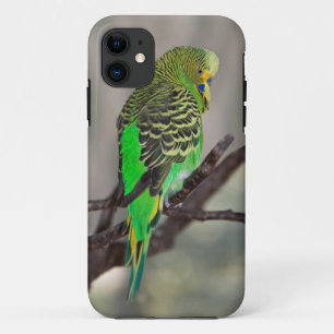 Étui pour iPhone 5 Budgie