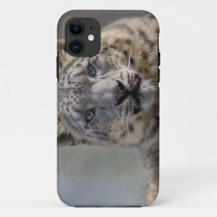 Étui pour iPhone 5 Himalayan Prince Case-Mate